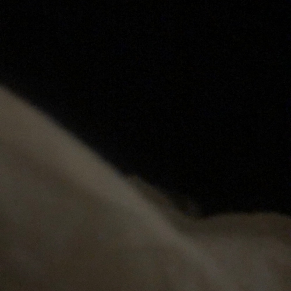 Meet your Posher, Jamorris